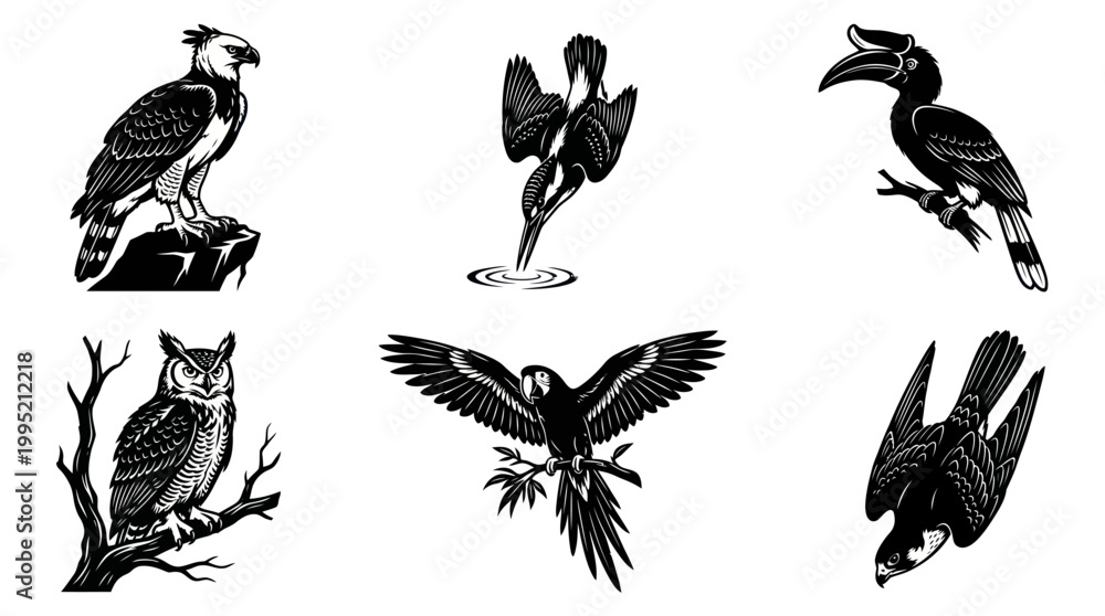 Fototapeta premium Black and white vector illustration of six different birds
