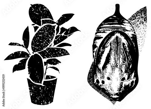 Botanical illustration featuring potted plant and butterfly pupa, rendered in high contrast with distressed halftone effect, ideal for graphic design or tattoo motifs.