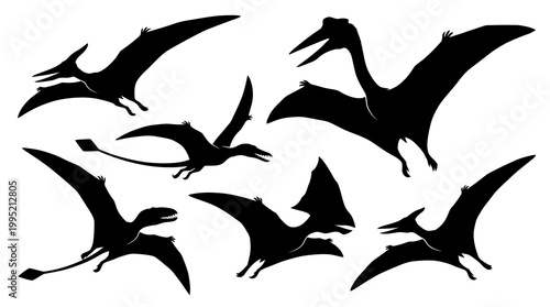 Dinosaur  Prehistoric Animal Vector Silhouettes: Flying Pterosaurs Collection