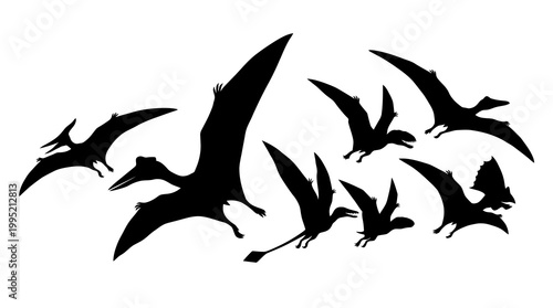 Flying Pterodactyl Silhouettes Prehistoric Dinosaurs Vector Collection