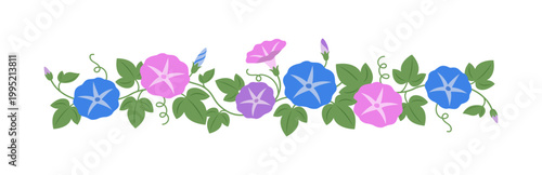 朝顔の花とツルの横長ライン装飾イラスト