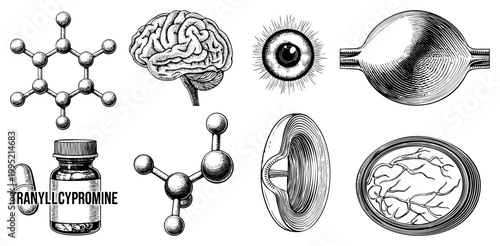 Scientific illustration of neurotransmitter molecules, cerebral cortex diagrams, and MAOI pill bottle neurochemical study visuals for medical education.