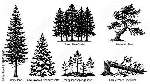 Black  White Line Art Pine Tree Collection for Nature  Forestry Design