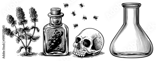 Gothic apothecary illustration featuring toxic elixir, skull symbol, insects, and medicinal plants also called witchcraft still life or alchemical tableau.