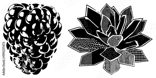 Berry illustration paired with stylized plant, both rendered in high contrast. Ideal for print, digital art, or branding assets using scalable vector formats.
