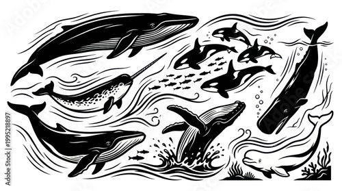 Black and White Vector Illustration of Whales and Dolphins in Ocean Waves