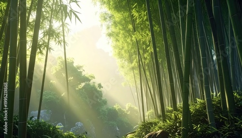 Sunlight filtering through a dense bamboo forest creating a serene atmosphere.
