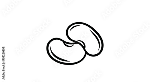Simple Outline Drawing of Two Kidney Beans on White Background