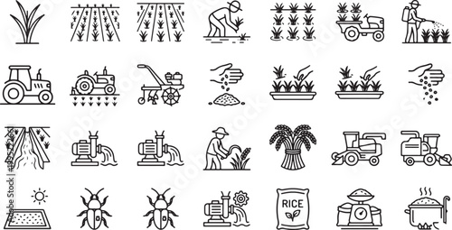 Rice cultivation and paddy farming line icon set featuring farmers harvesting planting irrigation systems machinery and grain production