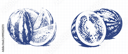 Hand drawn blue watermelon engraving art set featuring fresh summer fruit slices and halves collection vector graphic illustration bundle