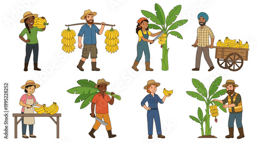 Diverse farmers cultivating and harvesting ripe bananas from plantations for distribution and sale.