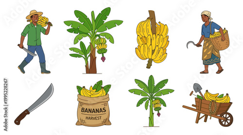 Illustrations depict banana farmers and their harvest, including trees, machetes, and wheelbarrows.