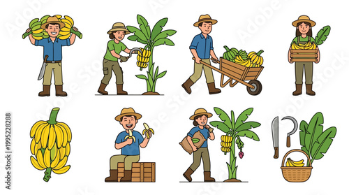 Smiling farmers wearing hats perform various harvesting activities including picking fruit and moving wooden crates filled with fresh yellow bananas