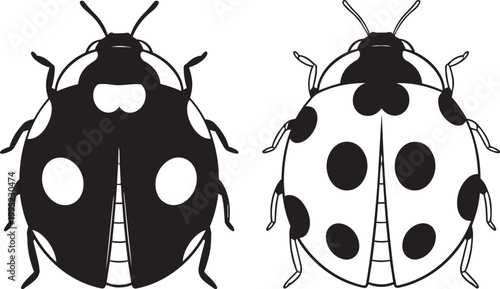 Black and white ladybugs with spots, insect illustration, ladybug animal sketch, entomology artwork.