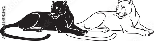 Illustration of two panthers resting side by side in minimalist black and white graphic vector style.