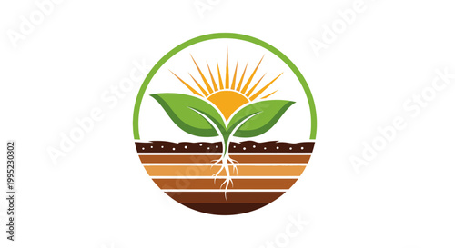 Vibrant plant growth with roots in soil and sun above.