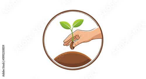 Hand planting a small green seedling into brown soil symbolizing growth and new beginnings.