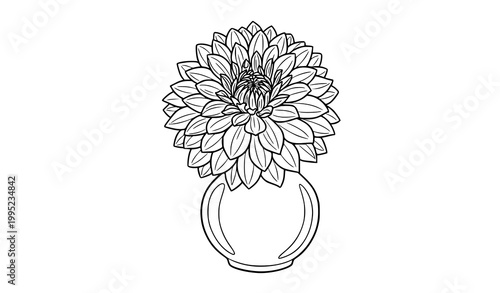 Blooming dahlia in rounded vase black and white outline vector illustration with detailed petals isolated on white