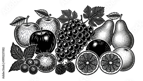 Vintage Engraving Style Assortment of Fresh Fruits.
