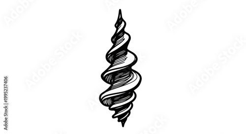 Black and white drawing of a spiral seashell.