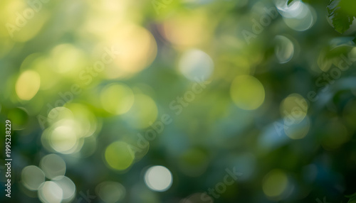 Blurred Green Foliage Background with Natural Light Bokeh