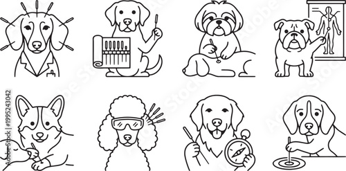 Professional dogs practicing acupuncture and traditional alternative medicine therapy for humans