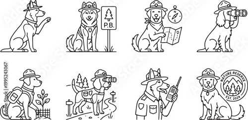 Professional park ranger dogs protecting the nature reserve and monitoring the forest