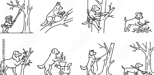 Arborist and gardener dogs performing tree care and landscaping maintenance