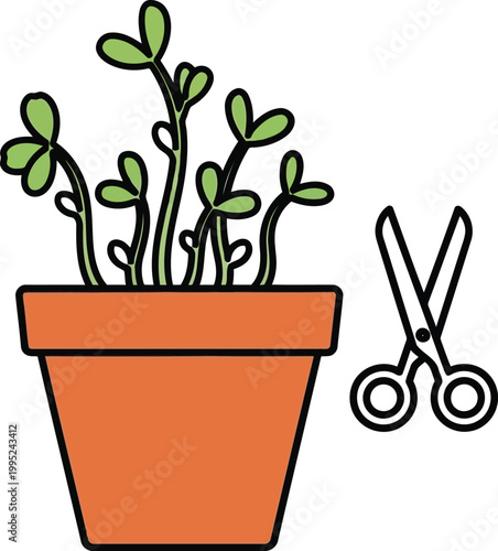 Small green sprouts growing in a terracotta clay flower pot with a pair of metal scissors next to it
