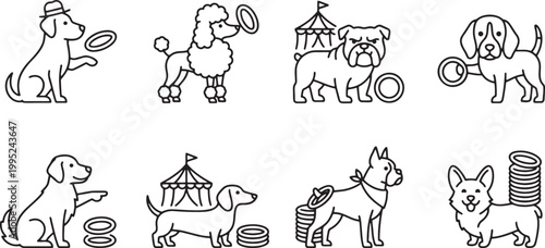 Trained dogs performing circus tricks and playing with rings in arena