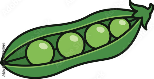 Fresh green pea pod with organic peas inside isolated graphic illustration