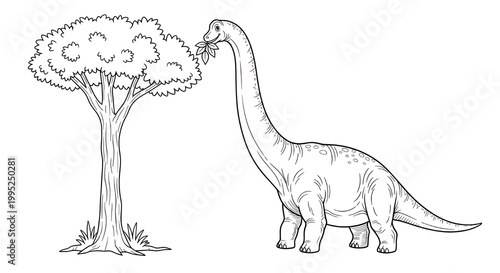 Long Neck Dinosaur Coloring Page