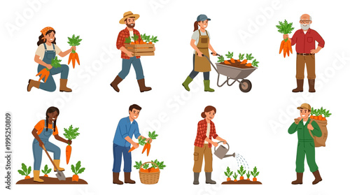 Diverse group of farmers working with fresh carrots, planting, harvesting, and transporting organic vegetables using various tools and containers daily.