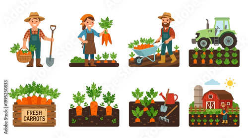 Cartoon farmers and a tractor harvest fresh organic orange carrots from the fertile soil in this colorful vector illustration set