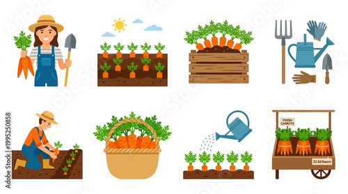 Detailed vector icon set illustrating carrot farming featuring cheerful farmers, gardening tools, organic produce, wooden crates, and fresh vegetable harvests