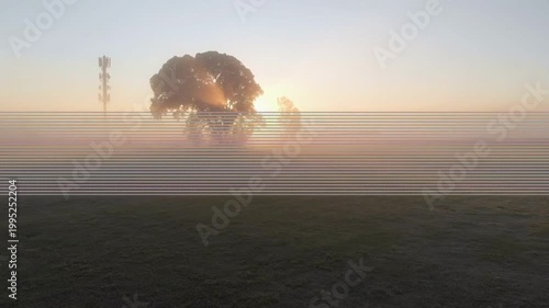 Sun rising behind solitary tree sending warm rays, fog lifting, revealing tree silhouette