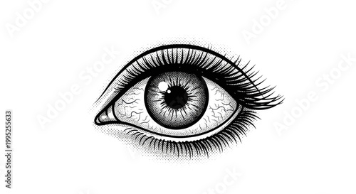 Detailed illustration of a human eye.