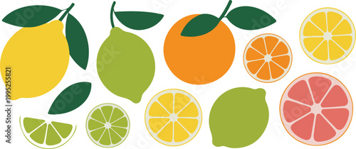 Flat minimalist illustration of citrus fruits with lemons limes orange and grapefruit slices arranged on white background