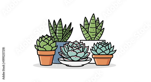 Collection of Beautiful Succulents in Decorative Pots on White Background.
