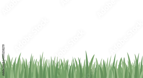 Green grass blades on white background, natural lawn texture, fresh green foliage, grassy landscape border