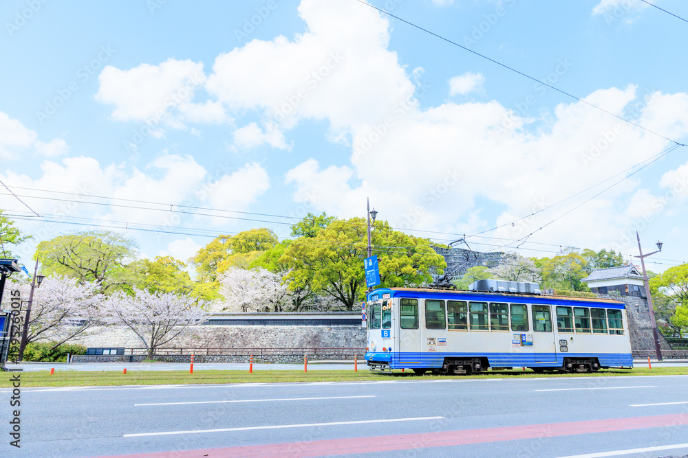 Obraz premium 春の熊本市電 路面電車 熊本県熊本市