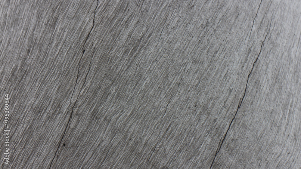 Fototapeta premium Close up texture of a tree bark