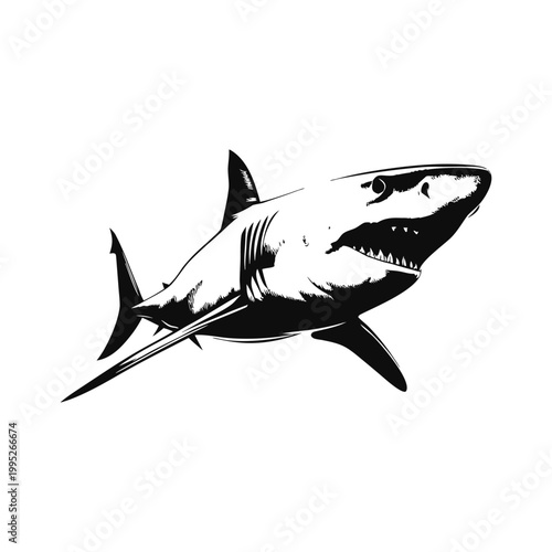 Black and white vector vintage illustration of a great white shark predator in hand drawn style