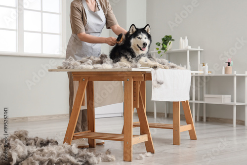 Groomer brushing out dog's ...