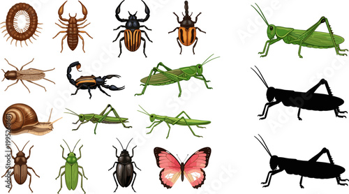 Detailed Cartoon Insect Collection Grasshopper Scorpion Beetle Butterfly Snail Centipede and Silhouette Vector Illustration Set for Nature Design