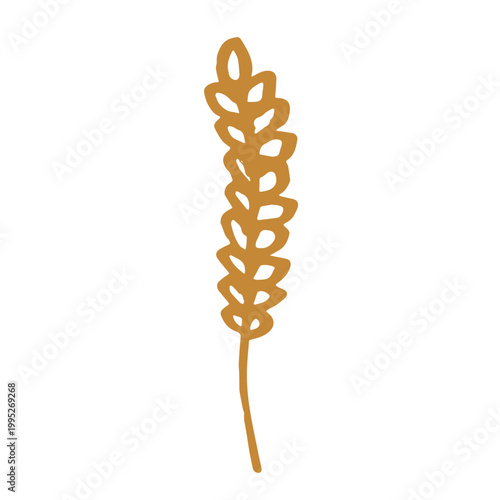Hand drawn cereal wheat oat rye barley rice ears spikelet clipart Organic wheat bread agriculture farming harvest healthy food Single element for print packaging label design decor