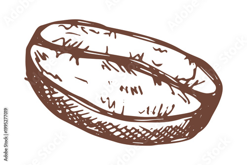 Hand drawn fresh roasted coffee bean Arabica robusta seed doodle Single element for print, web, design, decor