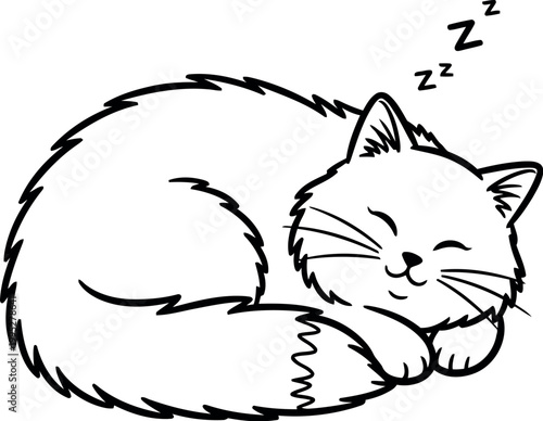 Adorable fluffy cat curled up sleeping peacefully