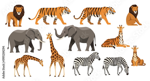 Safari Animals Collection Illustration.