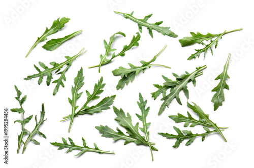 Many fresh arugula leaves o...